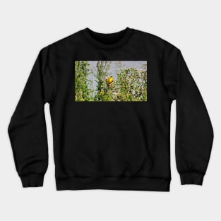 American Goldfinch Perched On Dandelions Crewneck Sweatshirt